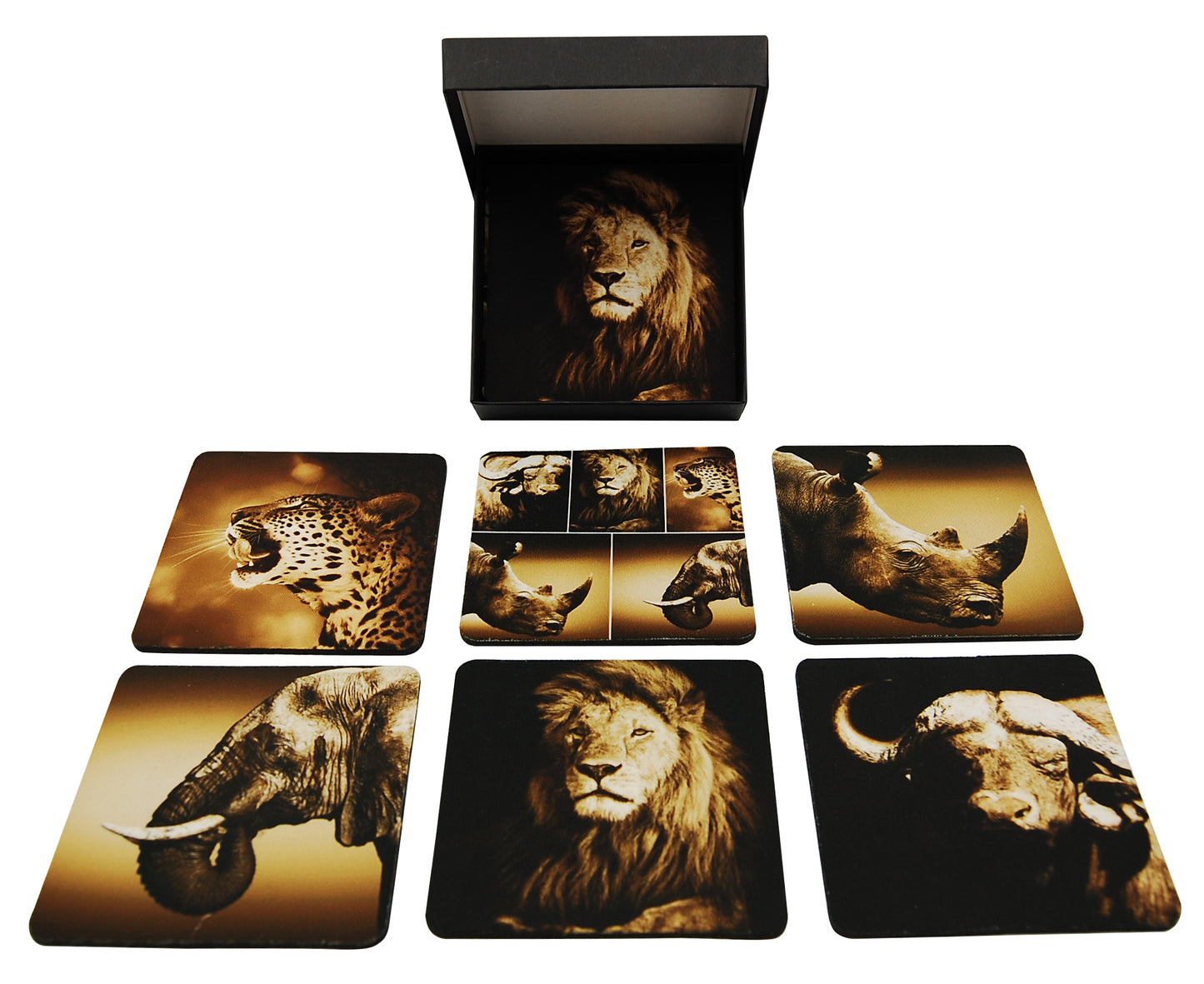 Big Five Coasters